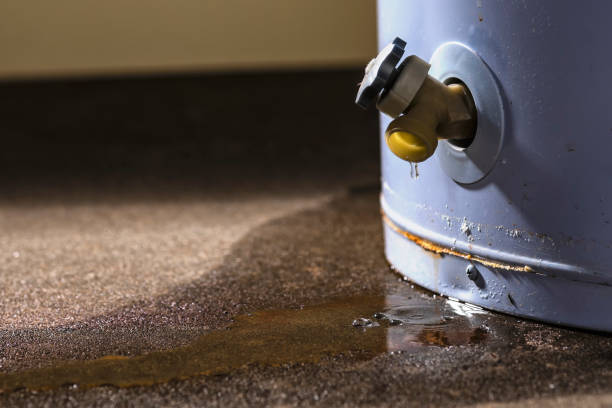 Best Carpet water damage restoration  in Independence, LA