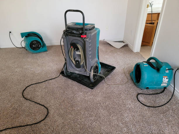 Best Water damage mitigation services  in Independence, LA