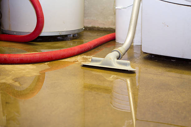 Best Flood restoration services  in Independence, LA