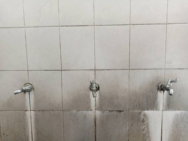 Best Water damage cleanup near me  in Independence, LA