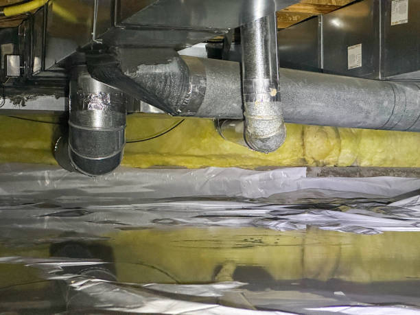 Best Professional water damage repair  in Independence, LA