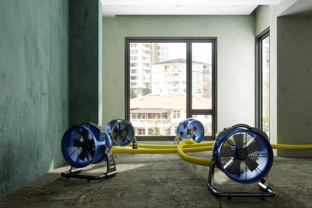 Best Commercial water damage restoration  in Independence, LA